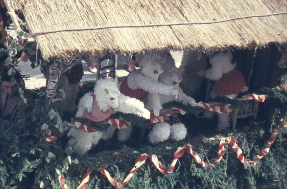 Volksfest und Blumenkorso 1955 in der Herrengasse