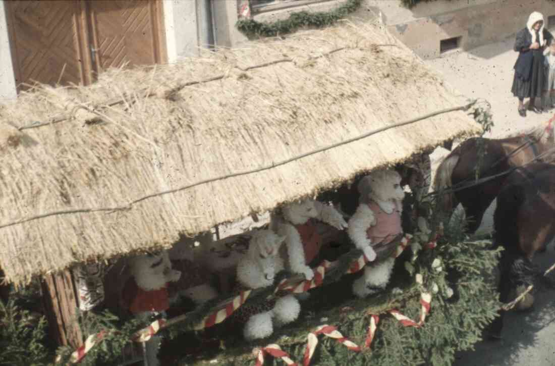 Volksfest und Blumenkorso 1955 in der Herrengasse