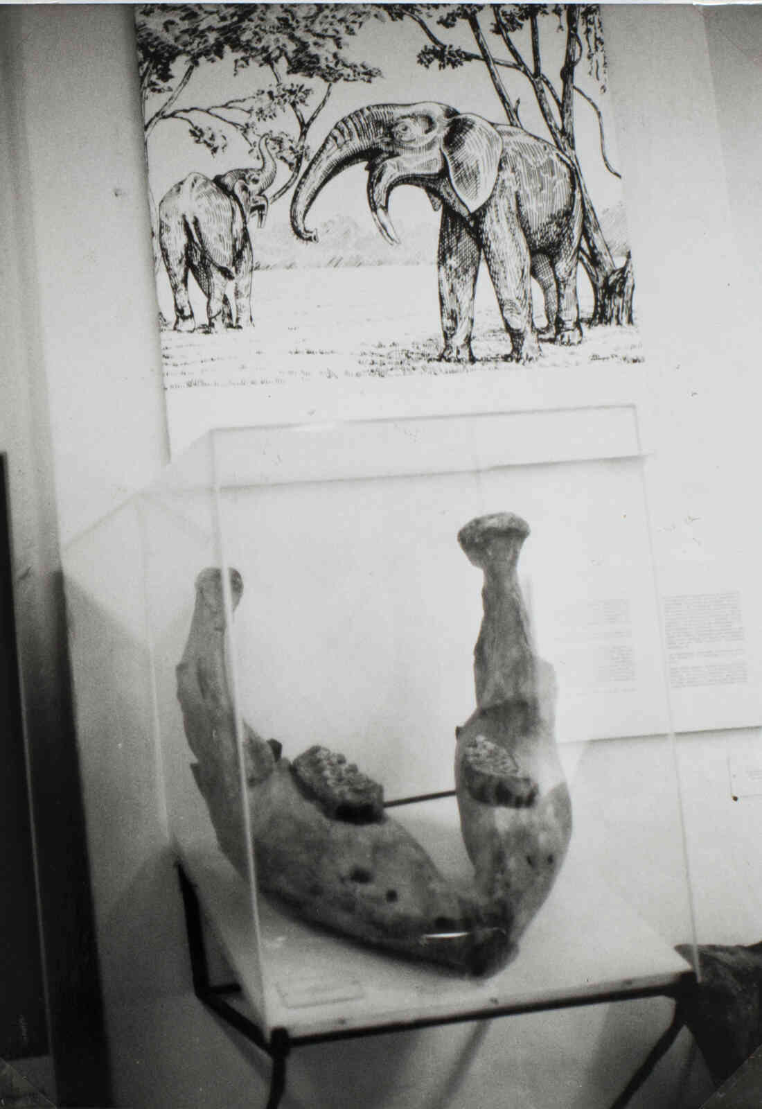 Ehemaliges Südburgenländisches Landschaftsmuseum am Sparkassenplatz 2, Austellungsraum