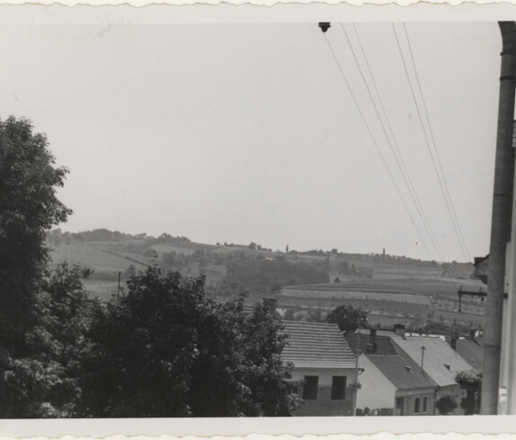 Park und Herrengasse im Sommer 1952