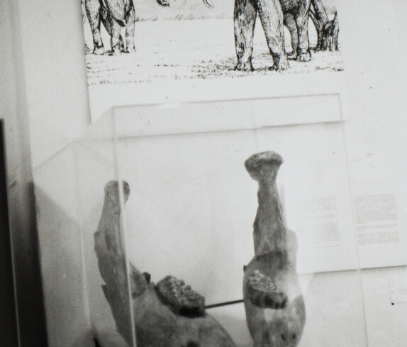 Ehemaliges Südburgenländisches Landschaftsmuseum am Sparkassenplatz 2, Austellungsraum