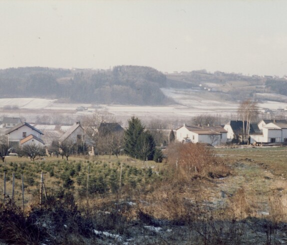 Steinriegel und Hauptstraße