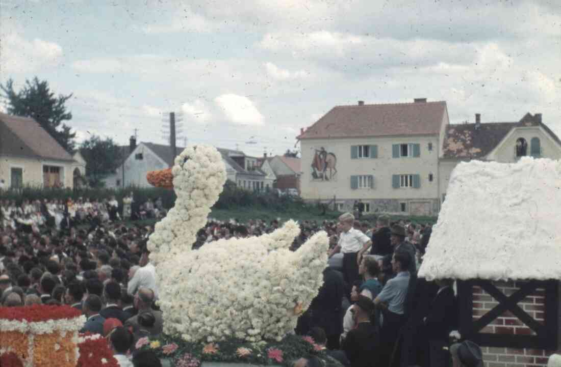 Volksfest und Blumenkorso 1955 am Sportplatz