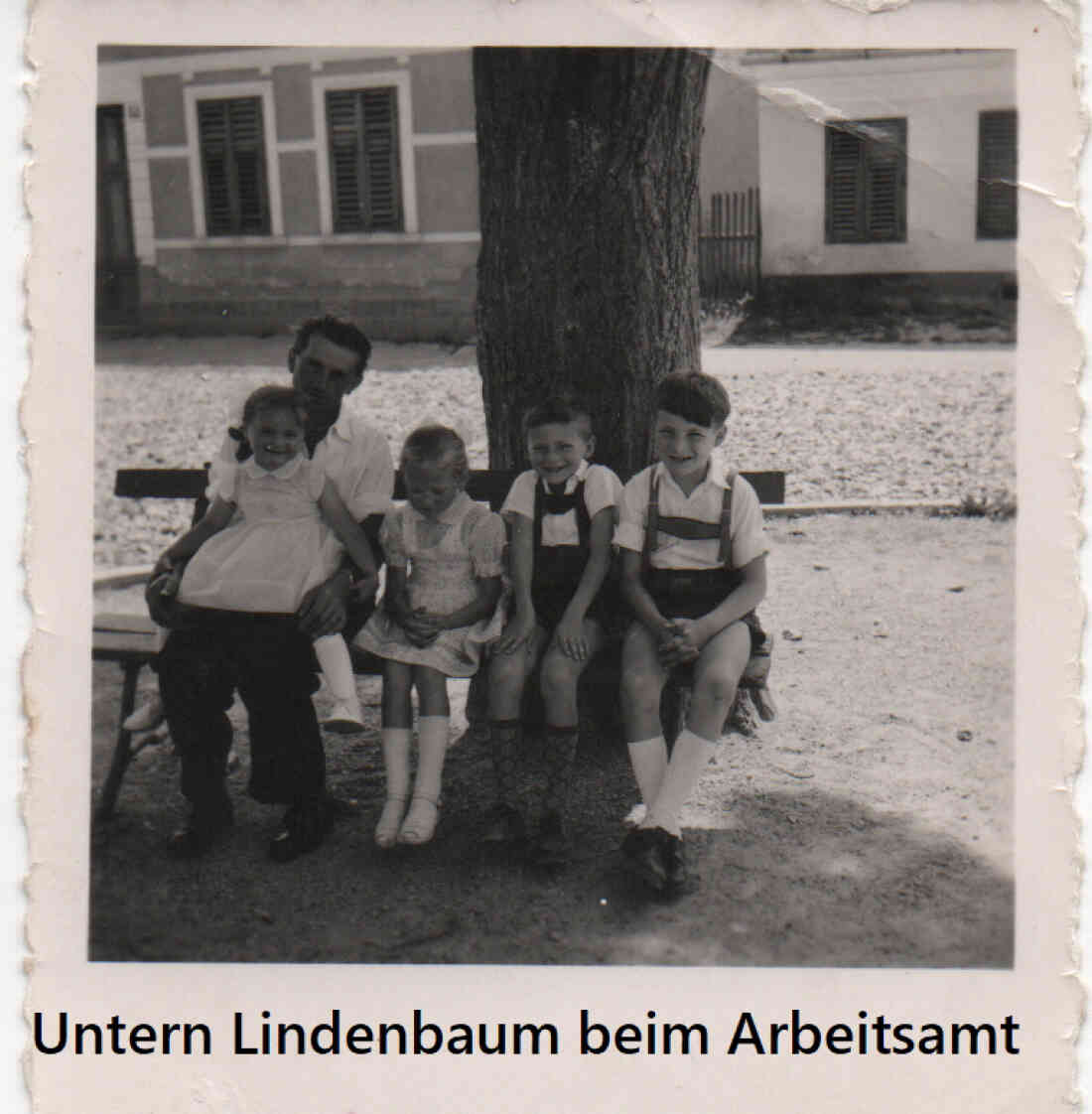 Unter den Lindenbaum in der Vorstadt 3, vor dem ehemaligen Haus der Familie Schneider, jetzt steht dort das AMS Stegersbach