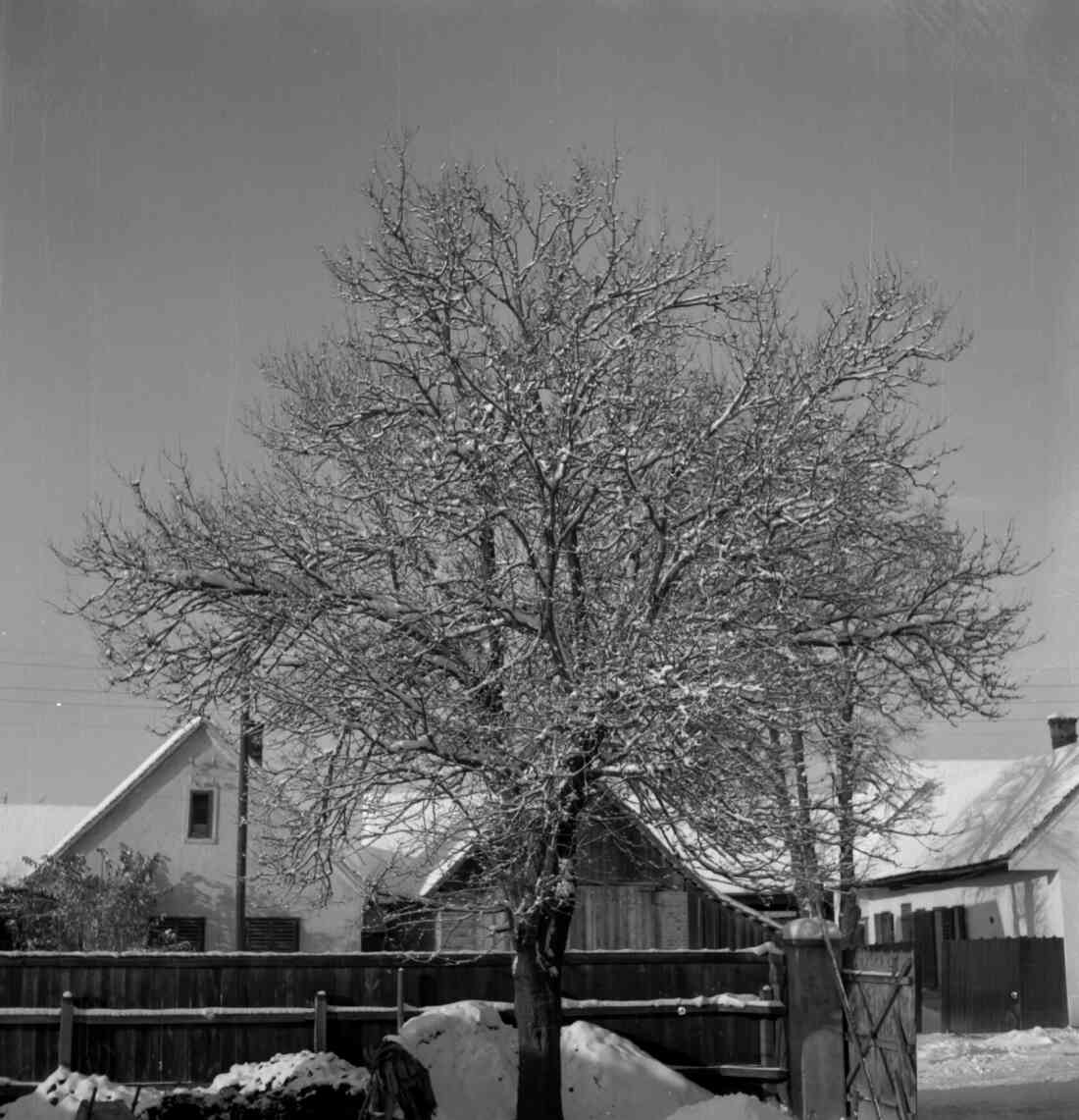 Stegersbach im Winter